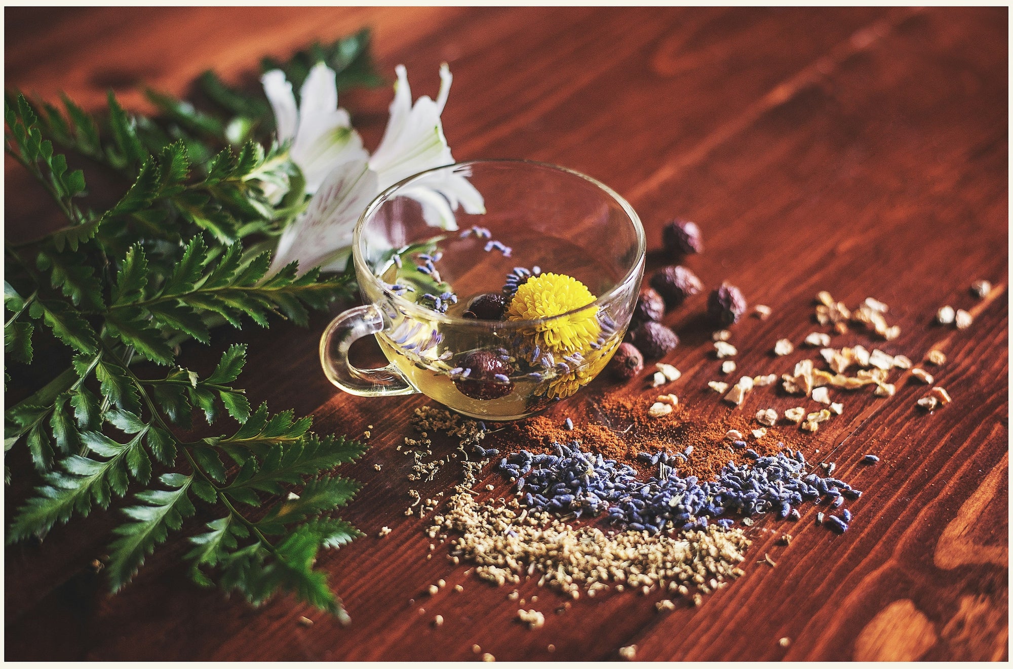 From Aliyah to Apothecary: How Our Journey in Israel Led to the Creation of Salves of Jerusalem