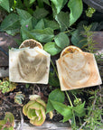 Holy Suds Soap Bar