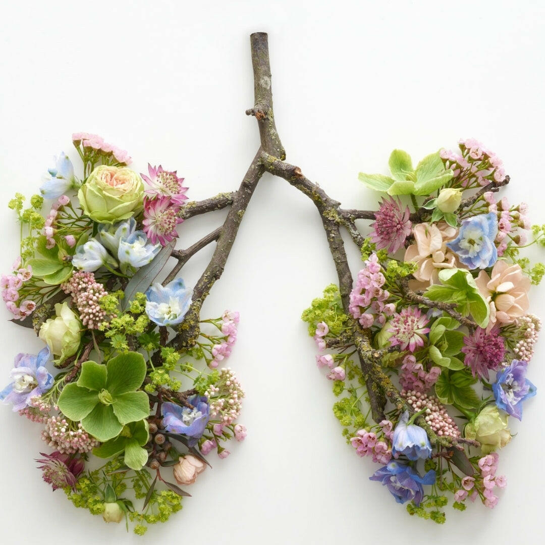 Herbal-Breathe Gift Set.