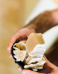 The Lip Balm Dozen - Winter Set - Salves of Jerusalem