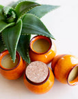 Herbal Family Salve.