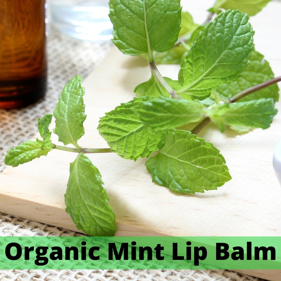 Mouthwatering Mint Lips - Organic Lip Balm - Salves of Jerusalem