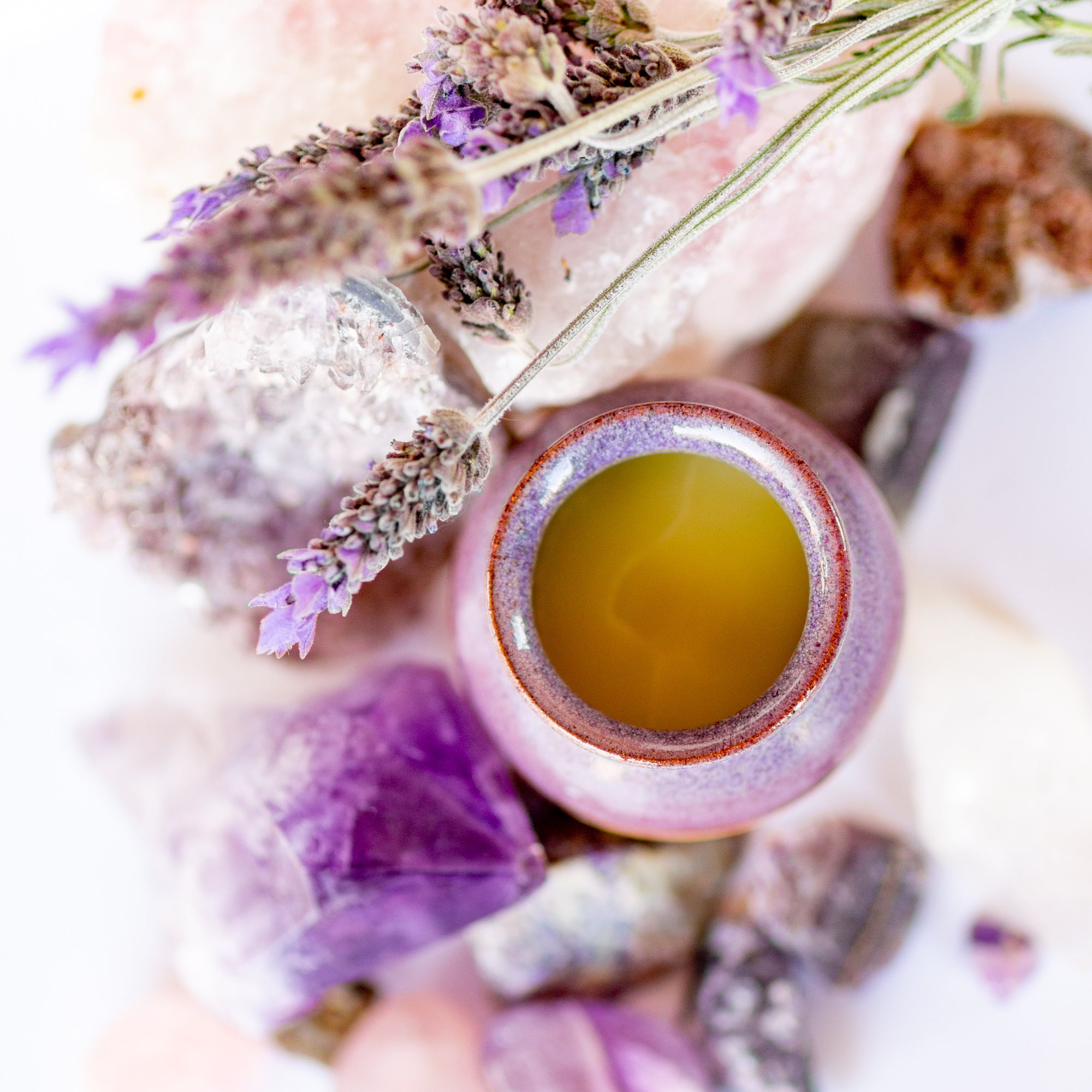 Herbal Family Salve - Salves of Jerusalem