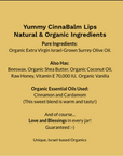 Yummy CinnaBalm Lips - Organic Lip Balm - Salves of Jerusalem
